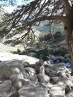 Korsika Bild 122
